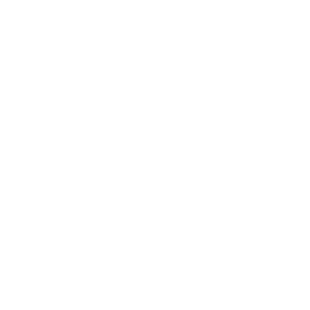 Nikon_Partner_Logo_neg Nikon Lenswear Partner – Bär Optik ist zertifizierter Nikon Brillenglas-Partner